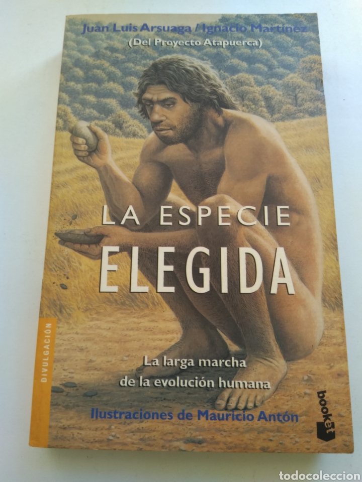 Libros: LA ESPECIE ELEGIDA/JUAN LUIS ARSUAGA - Foto 1