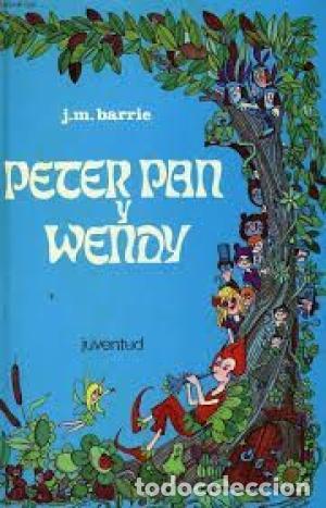 Libros: PETER PAN Y WENDY - Barrie,J. M. - Foto 1