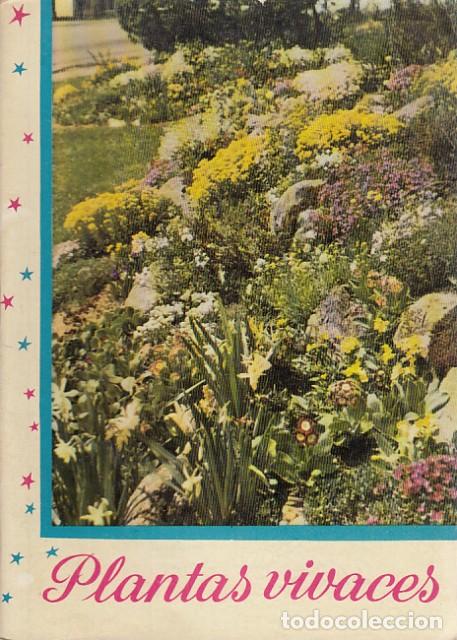 Libros: PLANTAS VIVACES - KANDA - Foto 1