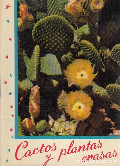 Libros: CACTOS Y PLANTAS CRASAS - KANDA - Foto 1