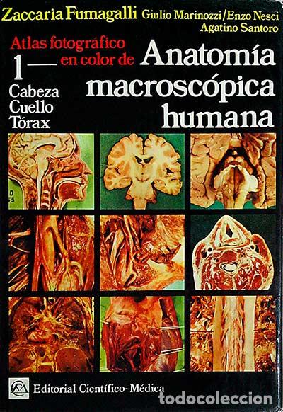 books: Atlas fotogr&aacute;fico en color de Anatom&iacute;a macrosc&oacute;pica humana. Tomo I - vvaa