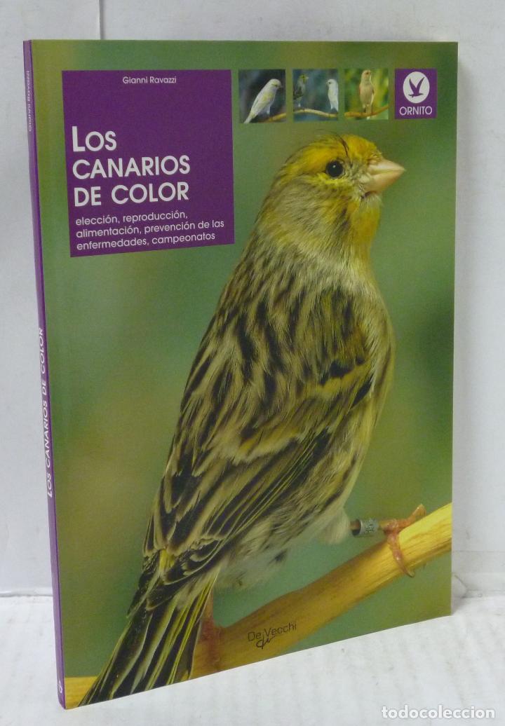 Libros: LOS CANARIOS DE COLOR - Ravazzi, Gianni - Foto 1