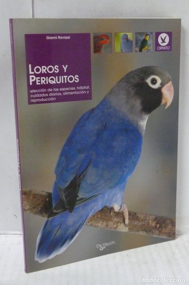 Libros: LOROS Y PERIQUITOS - Ravazzi, Gianni - Foto 1
