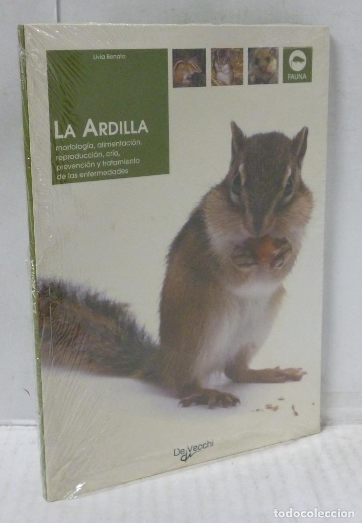 Libros: LA ARDILLA - Benato, Livia - Foto 1