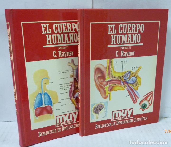 Libros: EL CUERPO HUMANO 2 TOMOS - Rayner, C. - Foto 1