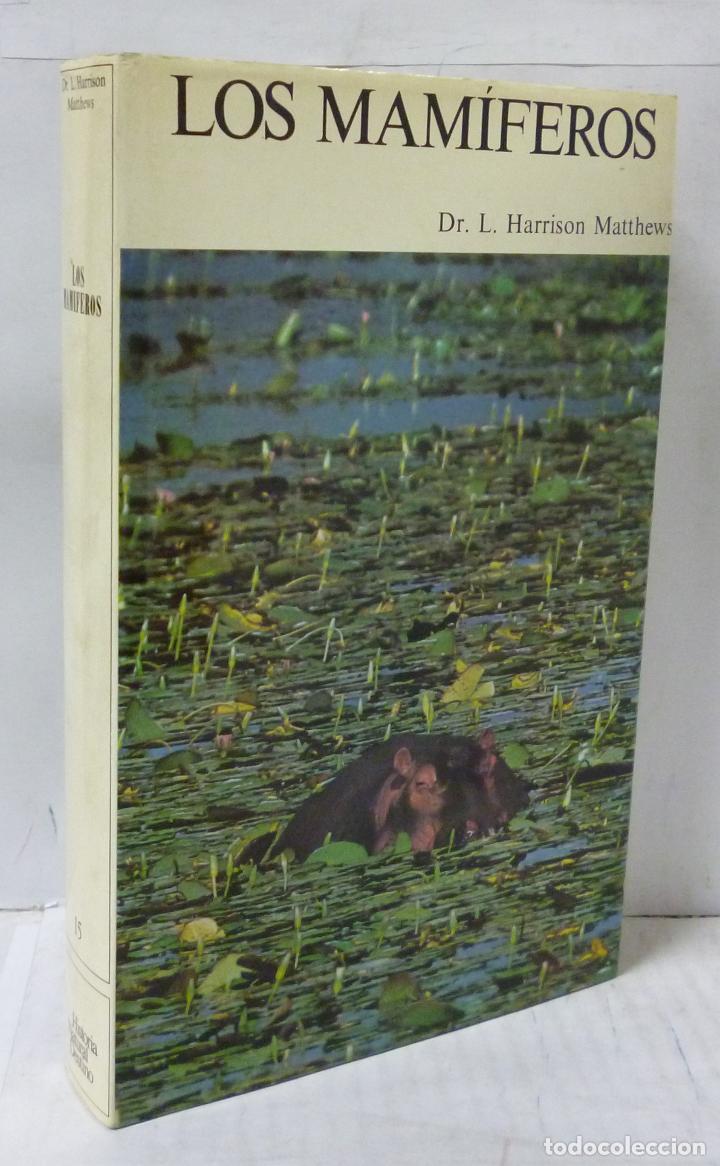 Libros: LOS MAMIFEROS - Hrrison Mathews, L. - Foto 1
