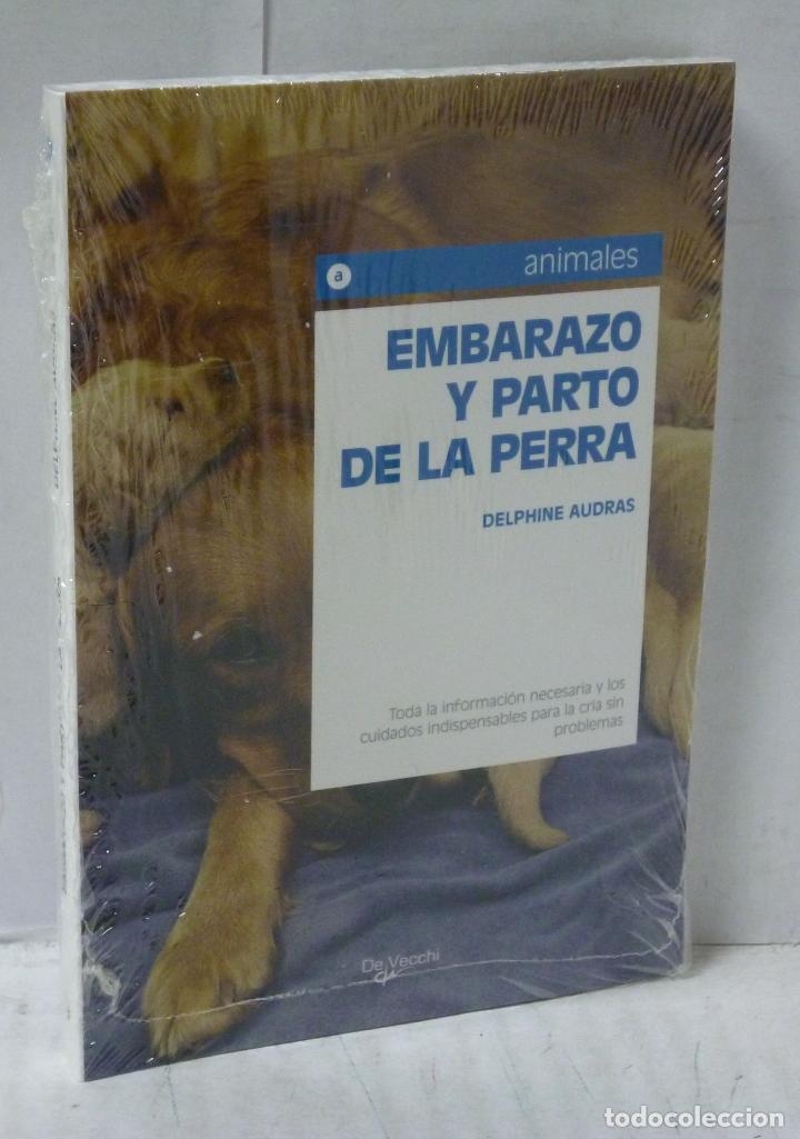 Libros: EMBARAZO Y PARTO DE LA PERRA - Audras, Delphine - Foto 1