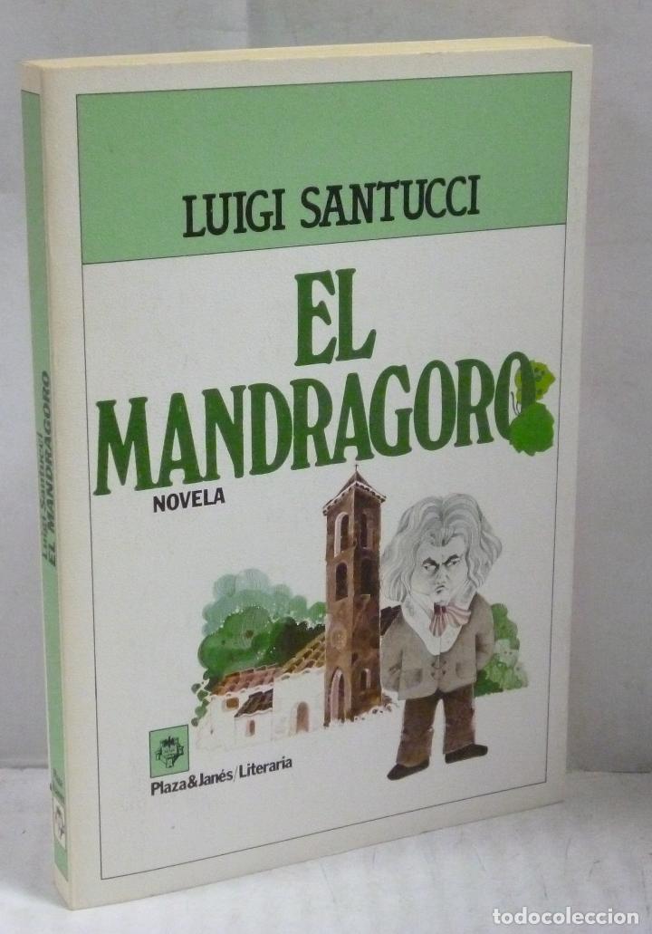 Libros: EL MANDRAGORO - Santucci, Luigi - Foto 1