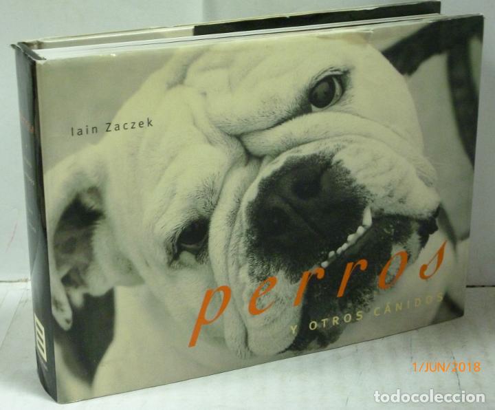 Libros: PERROS Y OTROS CANIDOS - Zaczek, Lain - Foto 1