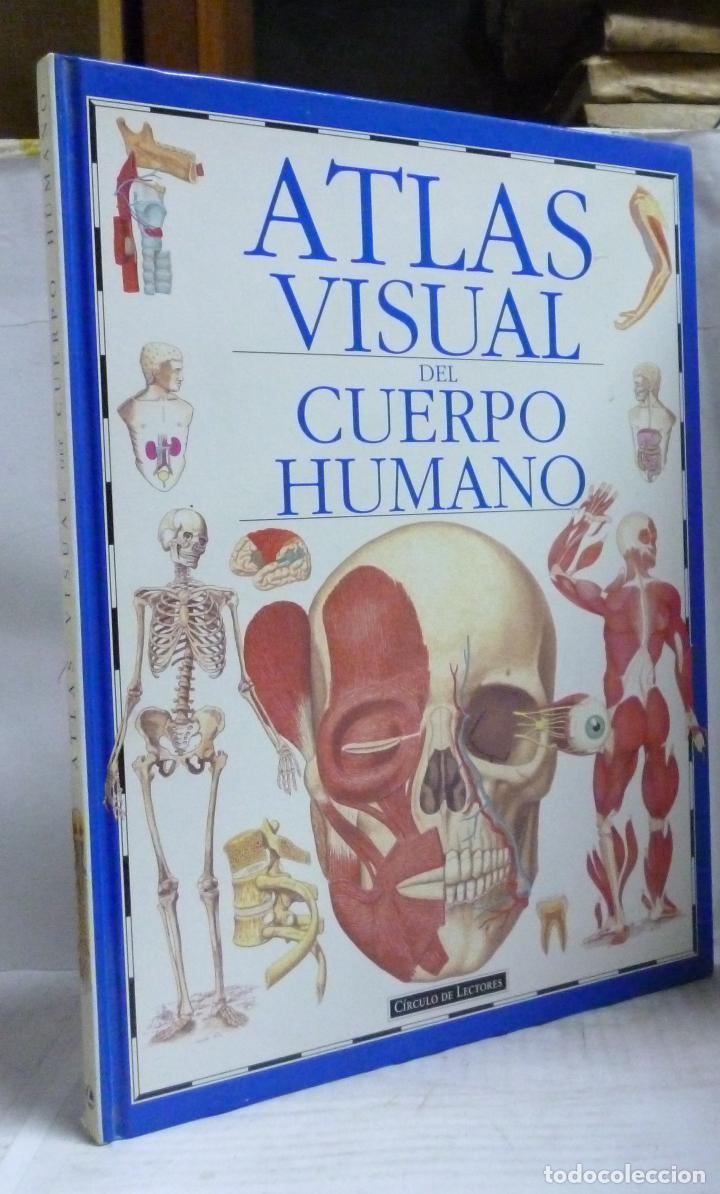 Libros: ATLAS VISUAL DEL CUERPO HUMANO - Parker, Steve - Foto 1