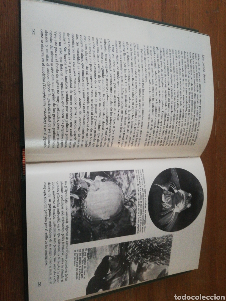 Libros: ZOOLOGIA PINTORESCA - Foto 5