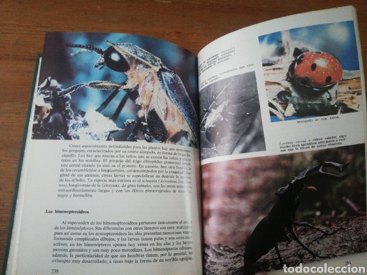 Libros: ZOOLOGIA PINTORESCA - Foto 6
