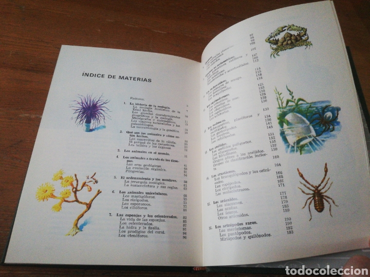 Libros: ZOOLOGIA PINTORESCA - Foto 7