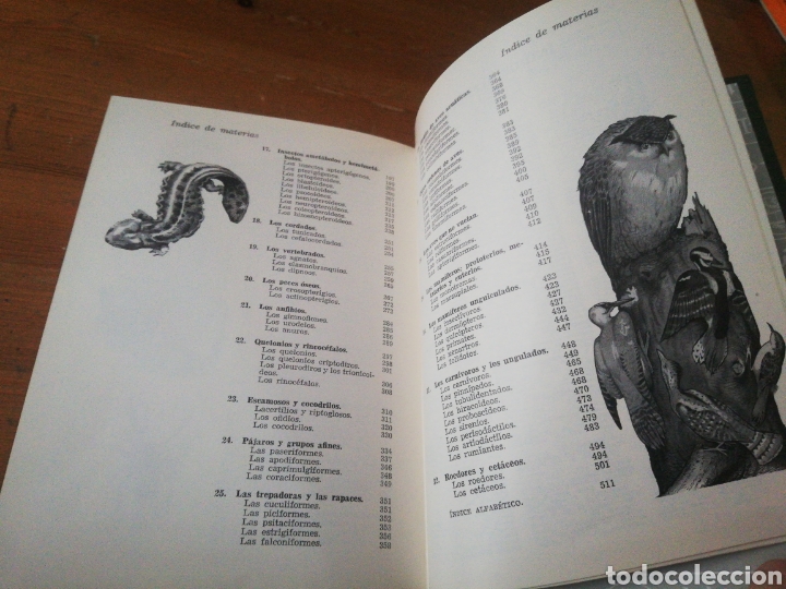 Libros: ZOOLOGIA PINTORESCA - Foto 8