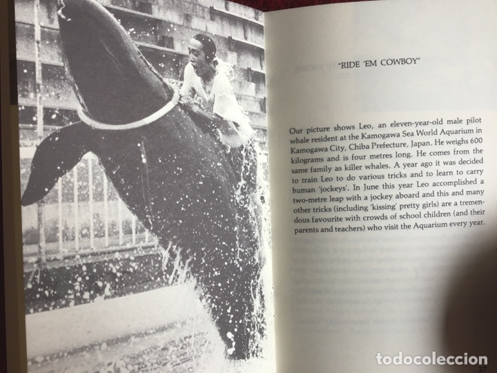 Libros: Whaling Review. Mike Keith. Ballenas. AGG - Foto 3