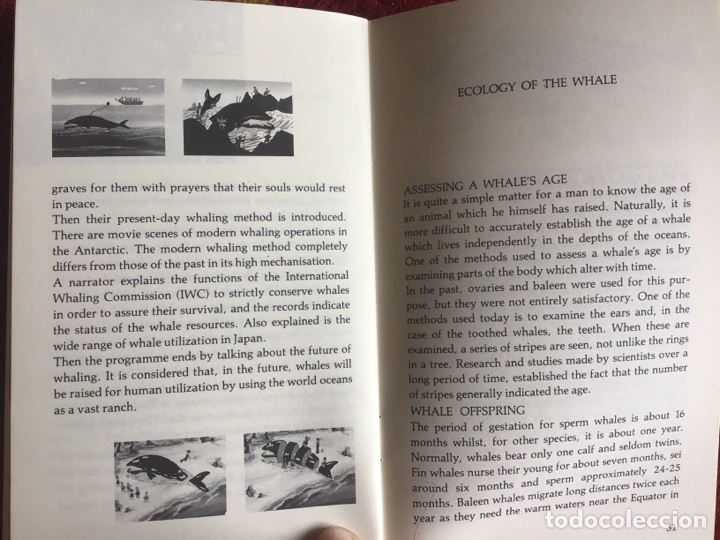 Libros: Whaling Review. Mike Keith. Ballenas. AGG - Foto 4
