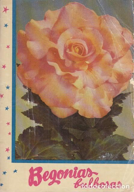 Libros: BEGONIAS BULBOSAS - KANDA - Foto 1