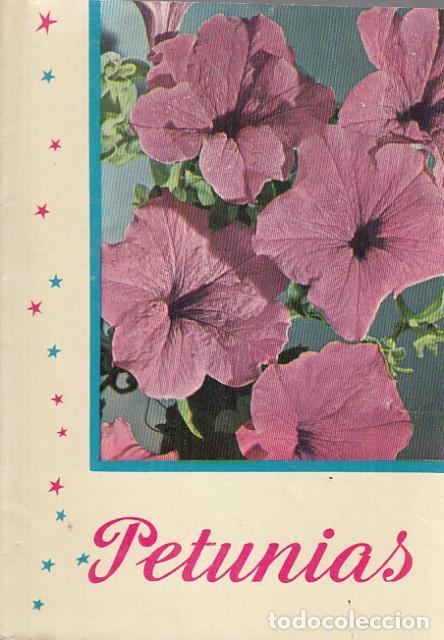 Libros: PETUNIAS - KANDA - Foto 1