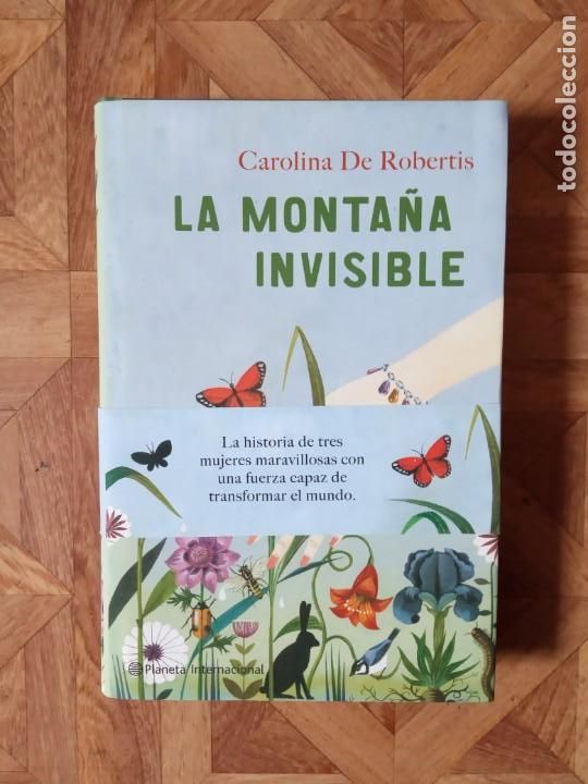 Libros: CAROLINA DE ROBERTIS - LA MONTA&Ntilde;A INVISIBLE - Foto 1
