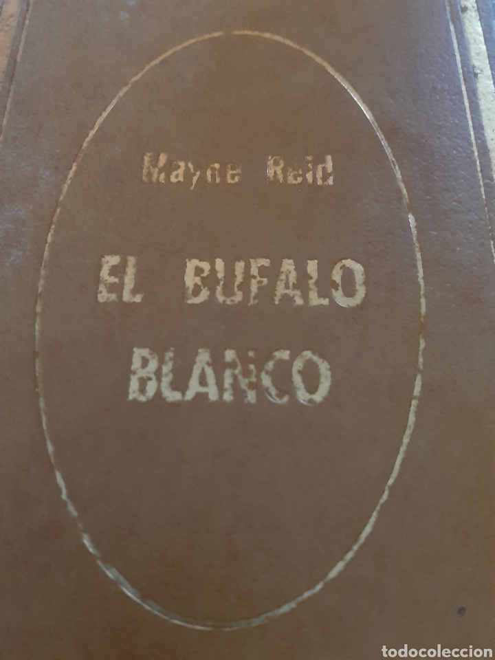 Libros: Libro El Bufalo Blanco de Mayne Reid. 1.972. Ediciones Petronio. - Foto 1