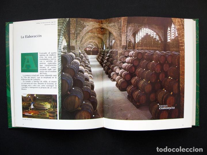 Libros: Imagen y presencia de Codorniu 1551/1872 - Foto 2