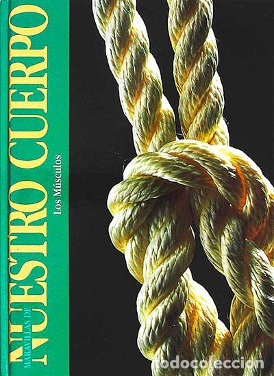 Libros: Los m&uacute;sculos. La magia del movimiento - VVAA - Foto 1