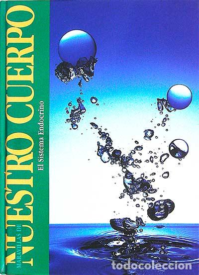 Libros: El sistema endocrino - VVAA - Foto 1