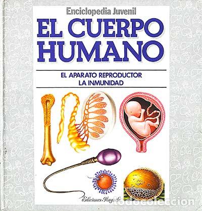 Libros: El cuerpo humano VI - VVAA - Foto 1