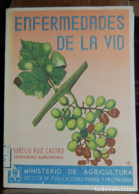 Libros: ENFERMEDADES DE LA VID - RUIZ CASTRO, Aurelio - Foto 1