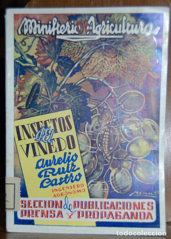 Libros: INSECTOS DEL VI&Ntilde;EDO - RUIZ CASTRO, Aurelio - Foto 1