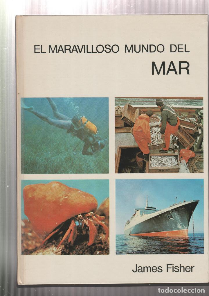 books: EL MARAVILLOSO MUNDO DEL MAR- ARNOLD L. HASKELL-EDICION 1972