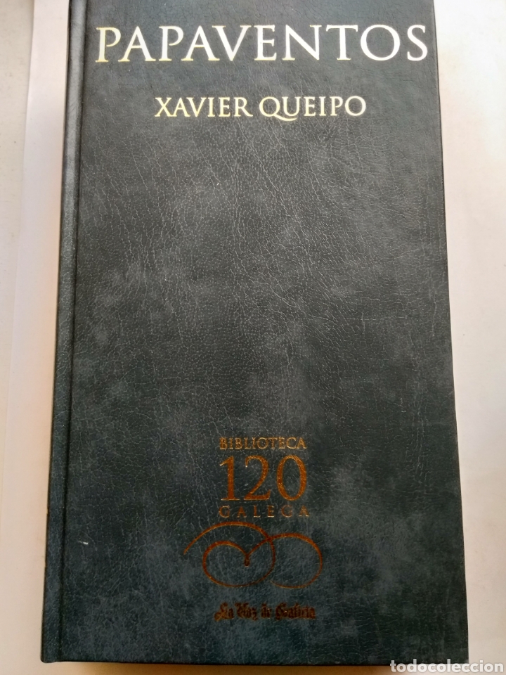 Libros: PAPAVENTOS/XAVIER QUEIPO - Foto 1