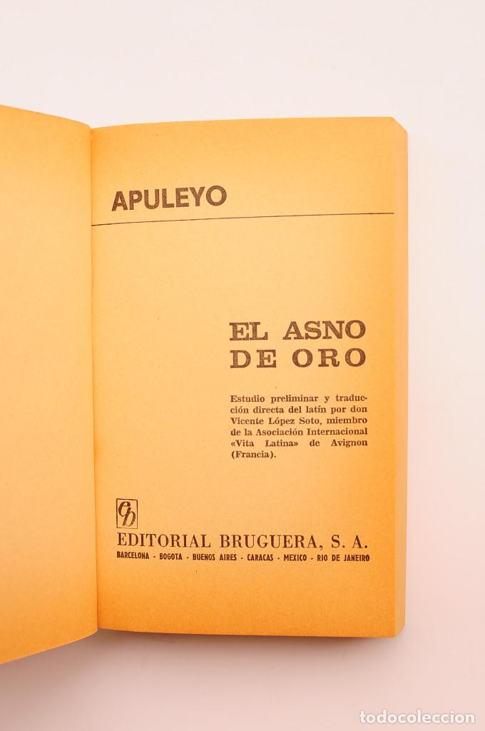 Libros: El asno de oro - APULEYO, Lucio - Foto 2
