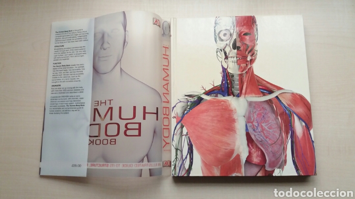 Libros: The human Body Book. Steve Parker. DK. INGL&Eacute;S. - Foto 5
