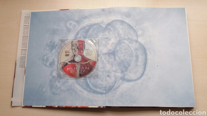 Libros: The human Body Book. Steve Parker. DK. INGL&Eacute;S. - Foto 6
