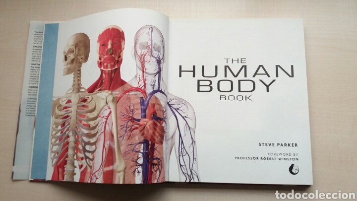 Libros: The human Body Book. Steve Parker. DK. INGL&Eacute;S. - Foto 7
