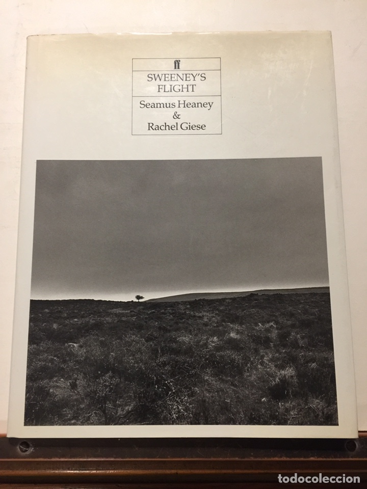Libros: Sweeney&rsquo;s Flight - Seamus Heaney & Rachel Giese. Fotolibro