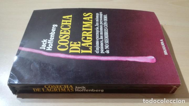 Libros: COSECHA DE LAGRIMAS - JACK HOFFENBERG - BRUGERA		K604 - Foto 1