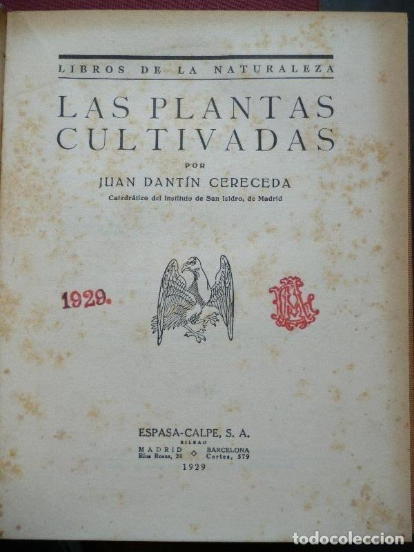 Libros: Las Plantas Cultivadas. - Dant&iacute;n Cereceda, J. - Foto 1