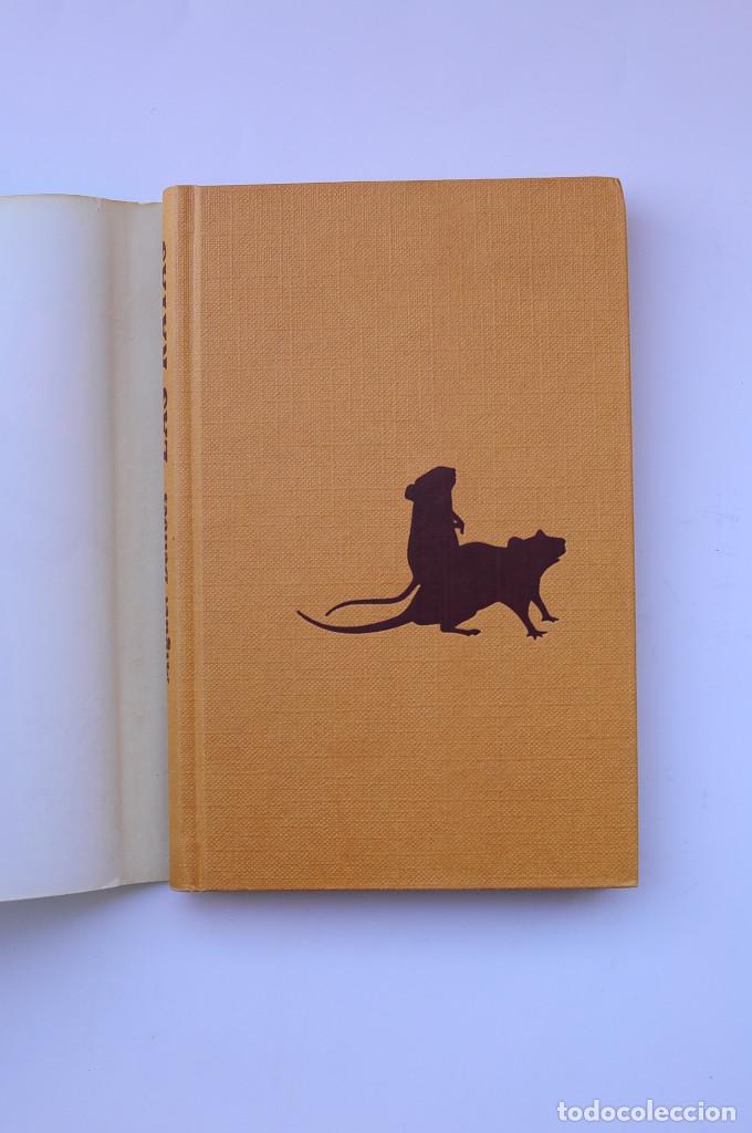 Libros: Las ratas - DELIBES, Miguel - Foto 2