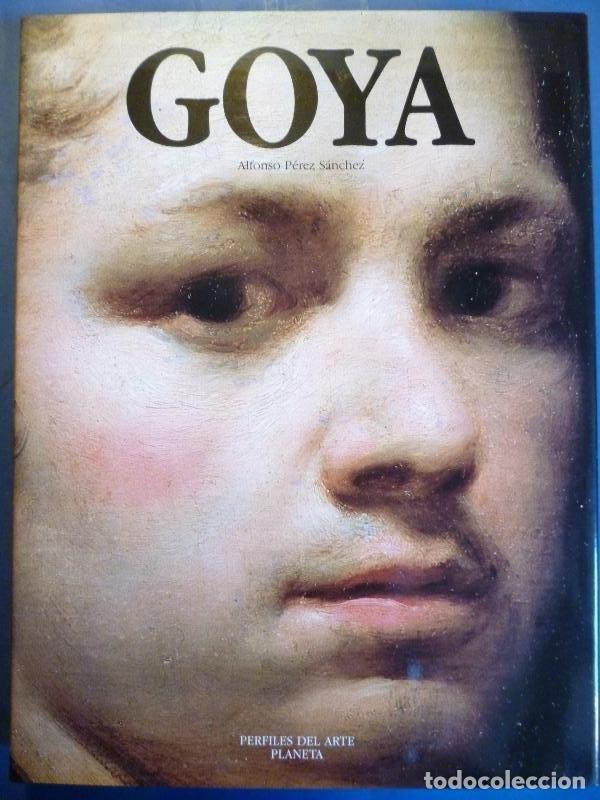 Libros: Goya. Introducci&oacute;n de Alfonso E. P&eacute;rez S&aacute;nchez. - Costamagna, Philippe. - Foto 1