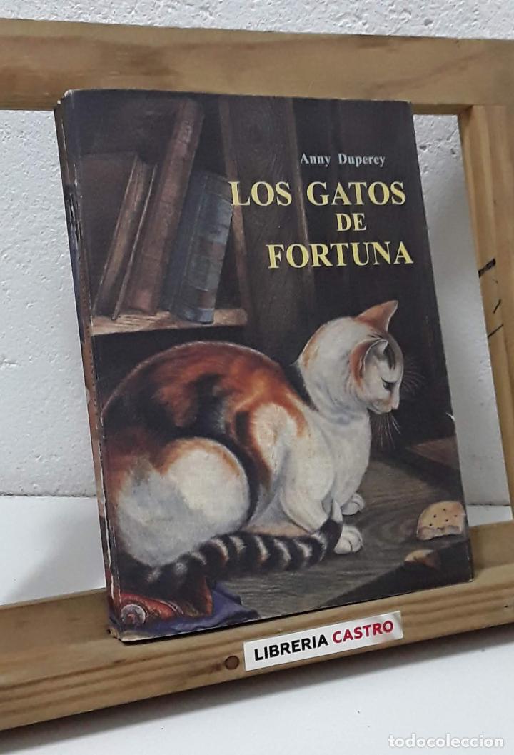 Libros: Los gatos de fortuna - Anny Duperey - Foto 1