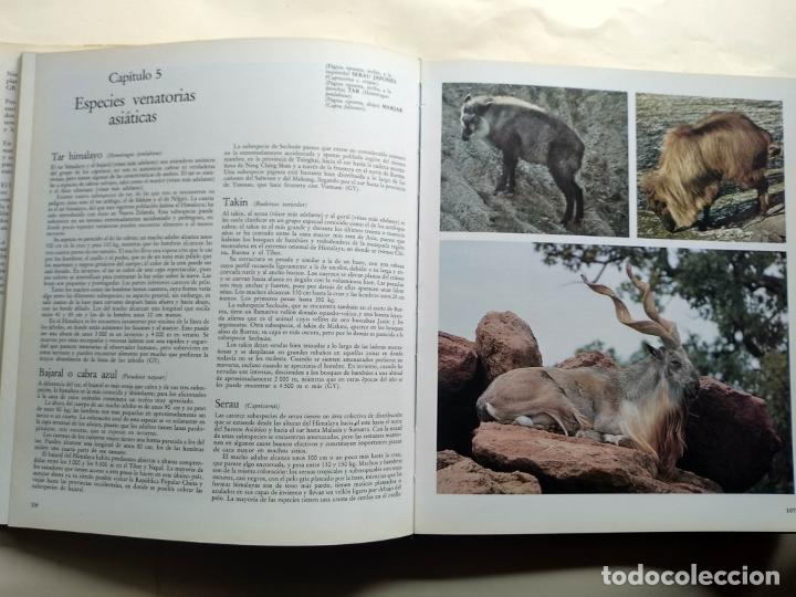 Libros: El Gran Libro de la Caza. - - Foto 3