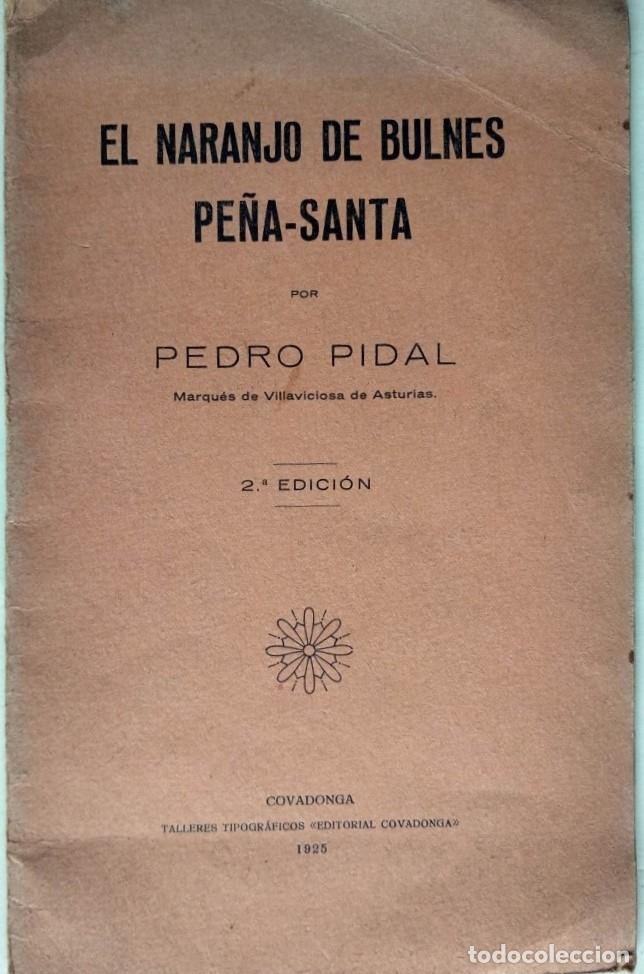 Libros: El Naranjo de Bulnes. Pe&ntilde;a Santa. - Pidal, Pedro. - Foto 1