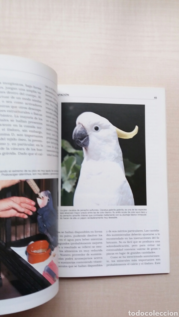 Libros: Cacatuas. John Coborn. Editorial Hispano Europea, 2003. - Foto 6
