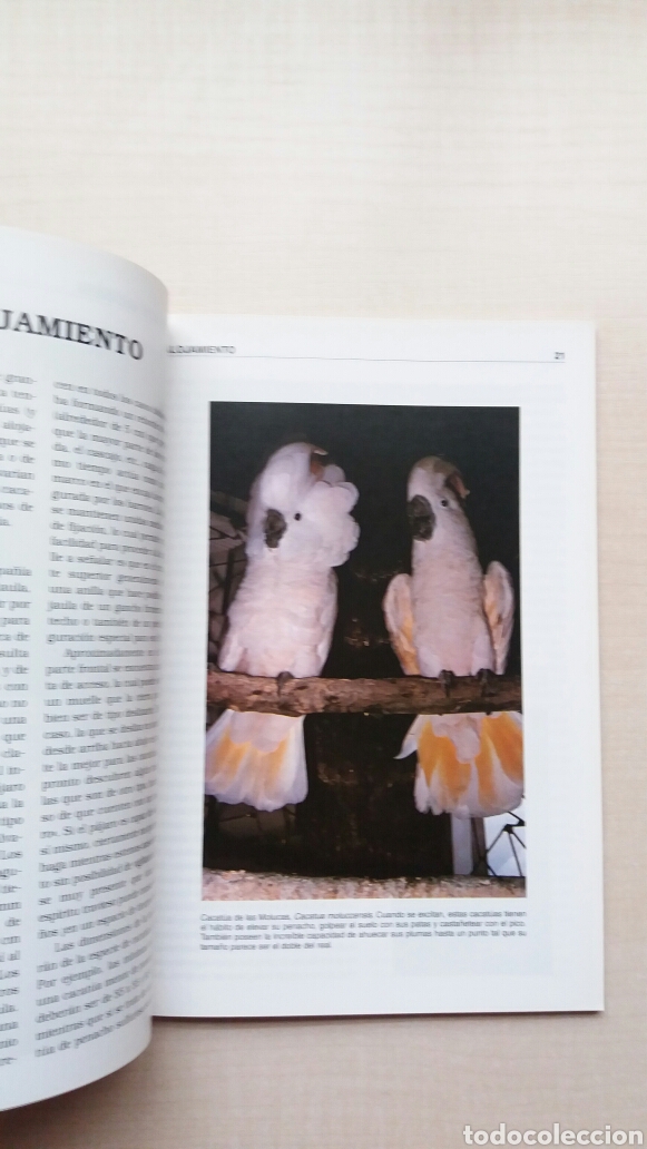 Libros: Cacatuas. John Coborn. Editorial Hispano Europea, 2003. - Foto 7