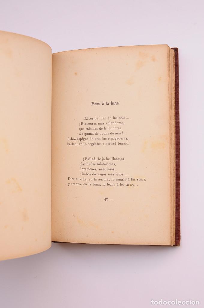 Libros: Los simples - GUERRA JUNQUEIRO, Ab&iacute;lio Manuel - Foto 4