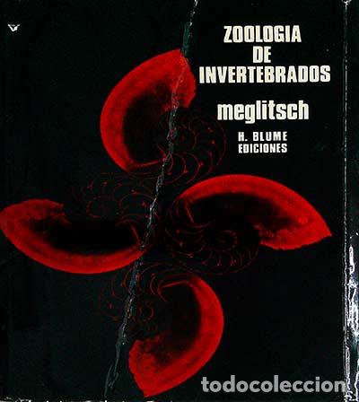 Libros: Zoolog&iacute;a de invertebrados - P.A. Meglitsch - Foto 1