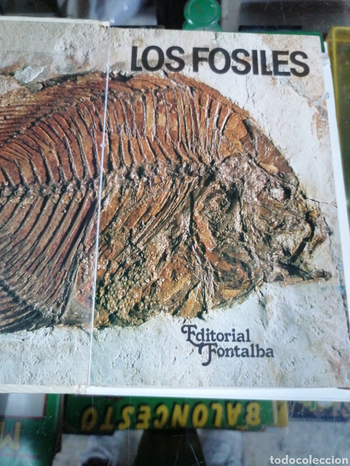 Libros: Los f&oacute;siles - Foto 2