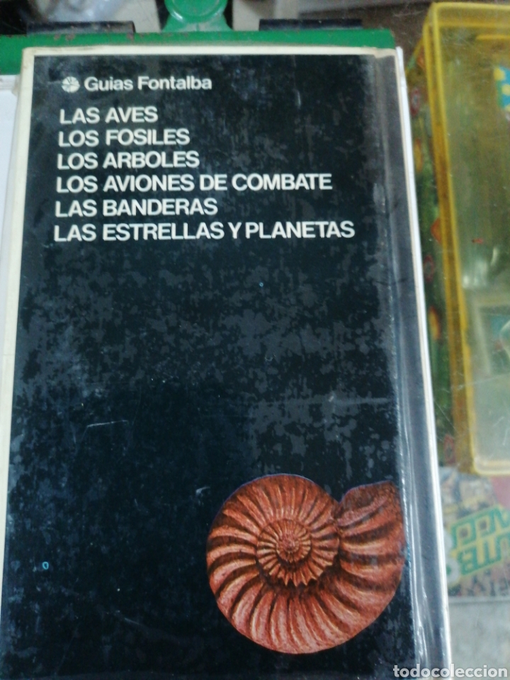 Libros: Los f&oacute;siles - Foto 5